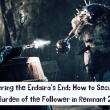 Conquering the Endaira's End: How to Secure the Burden of the Follower in Remnant 2